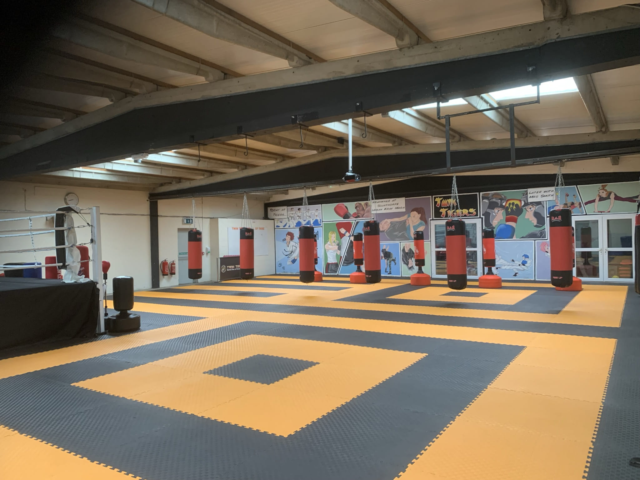 Twin Tigers training