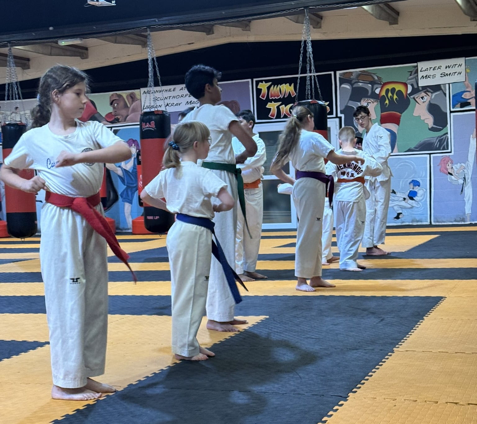 Twin Tigers training